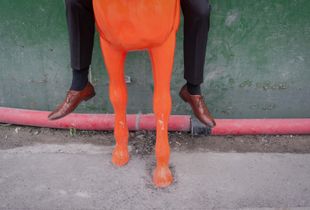 dead horse riding