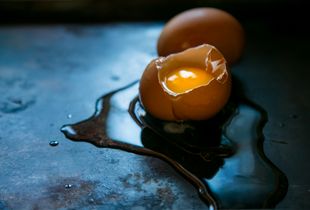 Egg