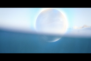 From the documentary "EVOLUTION, The Genius Equation"