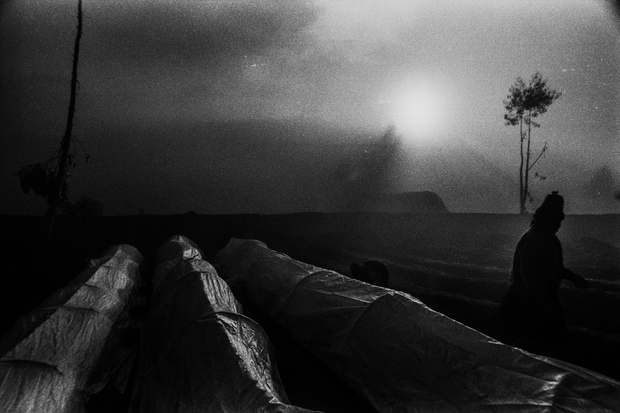 Under the shadow