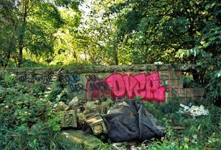 "graffito" #1