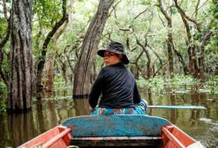 Deep in the Mangroves