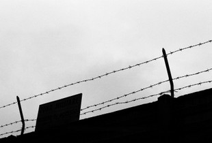 TEMI / Oder