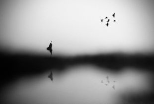 Conscience