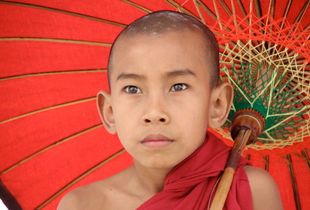 Burma monk