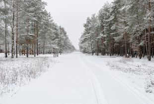 'The Boulevard', Stalag Left III, Źagań, Poland - January 2015