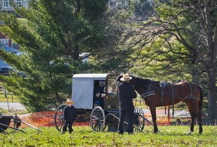 A Day in the Life of an Amish Farmer