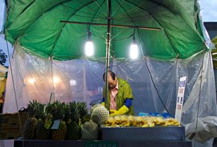 Pineapplea and melons seller