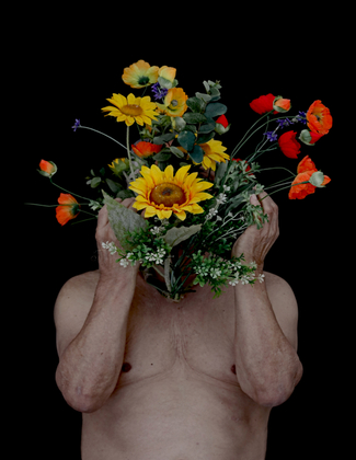 The power of  flowers