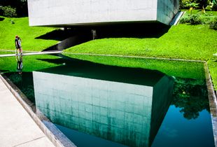 Adriana Varejao's Reflex