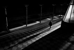 Long Shadow