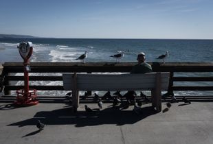 A man among birds