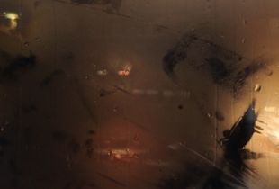 peeping out - City lights
