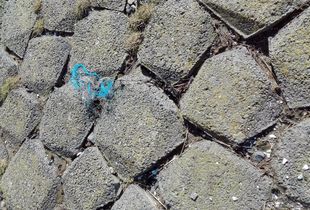 Debris (still lifes) No. 12  canon digital camera  2018