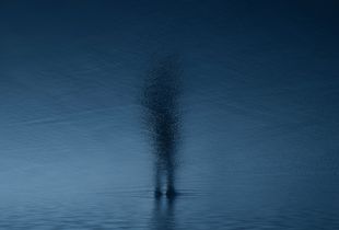 © Htet T San