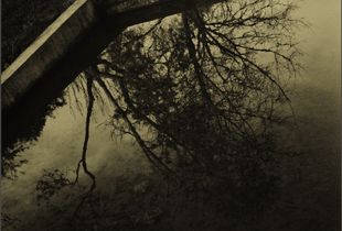 gardenscape