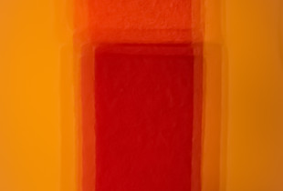 Ordinary subjects and color field_1