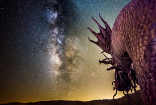 Attack on Borrego Springs