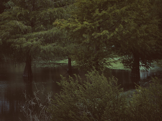 Into the marsh - 26