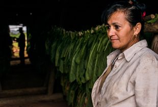 Anicia Martinez Hernandez (47) and Miguel Torres Barrio (50)