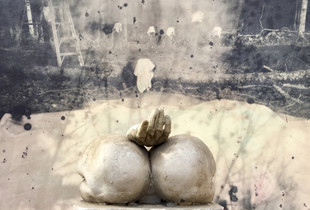 "Invisible Birds 1"