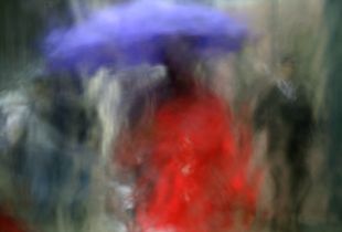 Umbrellas #4212