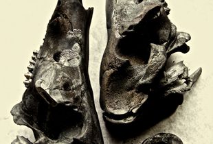 sculpture 1