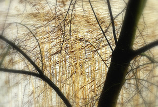 In the Dream II. Memory Landscapes series. 2020-2021.