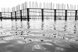 Water gate