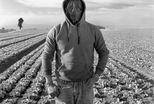 Field Worker