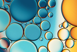 Bohemian Bubbly