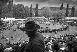 Eringer Cow Fight Arena
