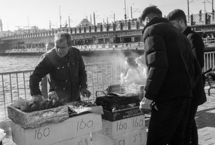Fresh Food Cooking