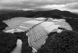 #002 Fukushima, Japan