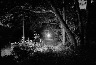 False Lights