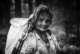 Toil & Trouble: Tea Plucker (Kandy, Sri Lanka)