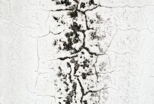 Abstract