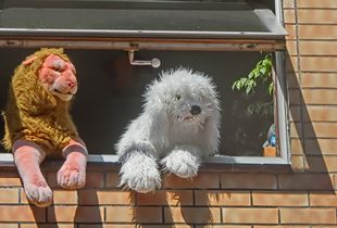 "STUFFED ANIMAL PLANET" or "THE GOOD GOD'S GENE" "STOFFTIERPLANET" oder "DES GÜTIGEN GOTTES GEN"