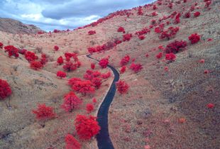 Madrid Family Road, Arizona, 2020.