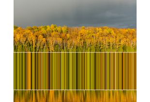 Chrominance 1