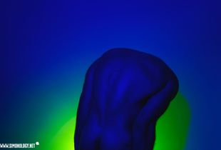 The Naked Homo: An exploration of a human body in another light.