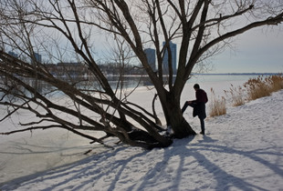 Man with Tree
