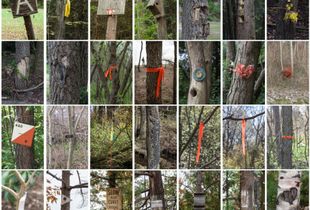 Demarcations  Large grid installation