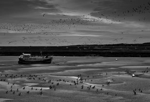 © Omar Parada Martinez