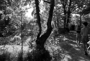 Image1