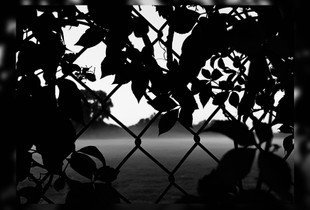 Imprisoned to The Past
