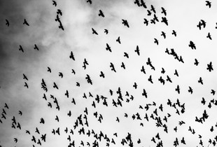 You can fly