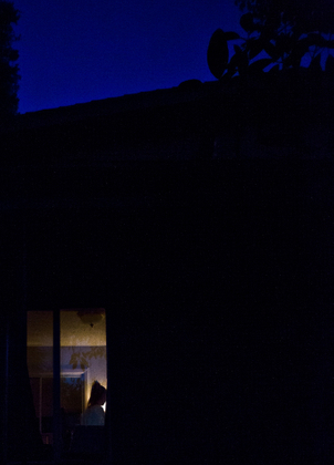 Quarantine Through Glass #8