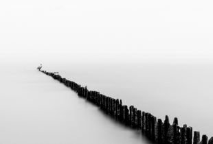 Texas City Dike - Bulkhead and Pelican No. 2