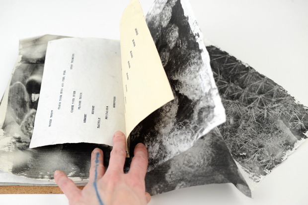 Trail of Touch Book